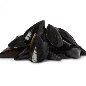 Australian Black Mussels