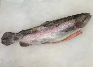 Australian Rainbow Trout (Whole)