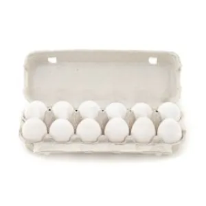 EGG 12`S