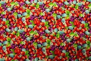 FB: Red Berry Cascade on Black Patchwork / Craft Fabric SOLD OUT
