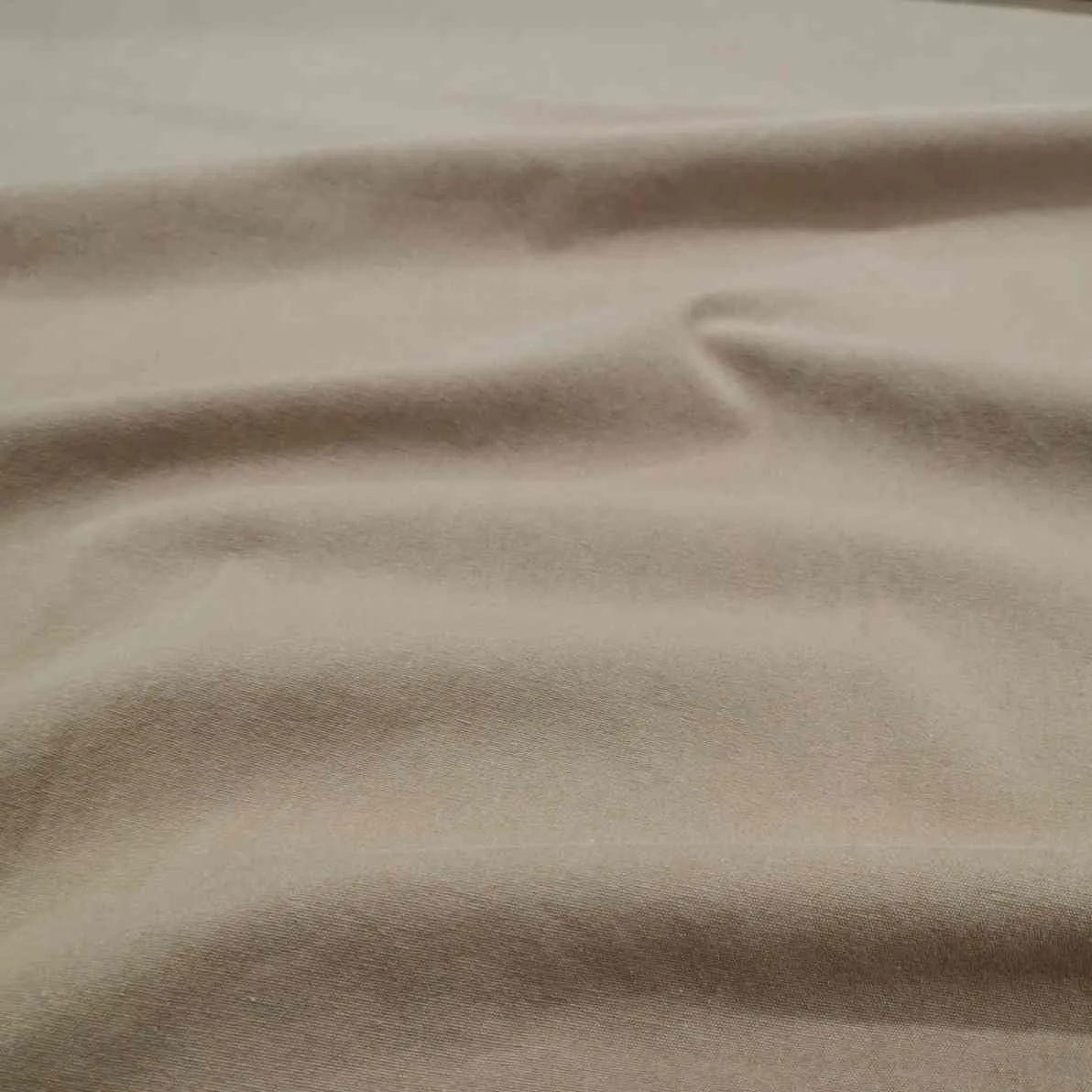 Fortney Cotton, Warm Camel