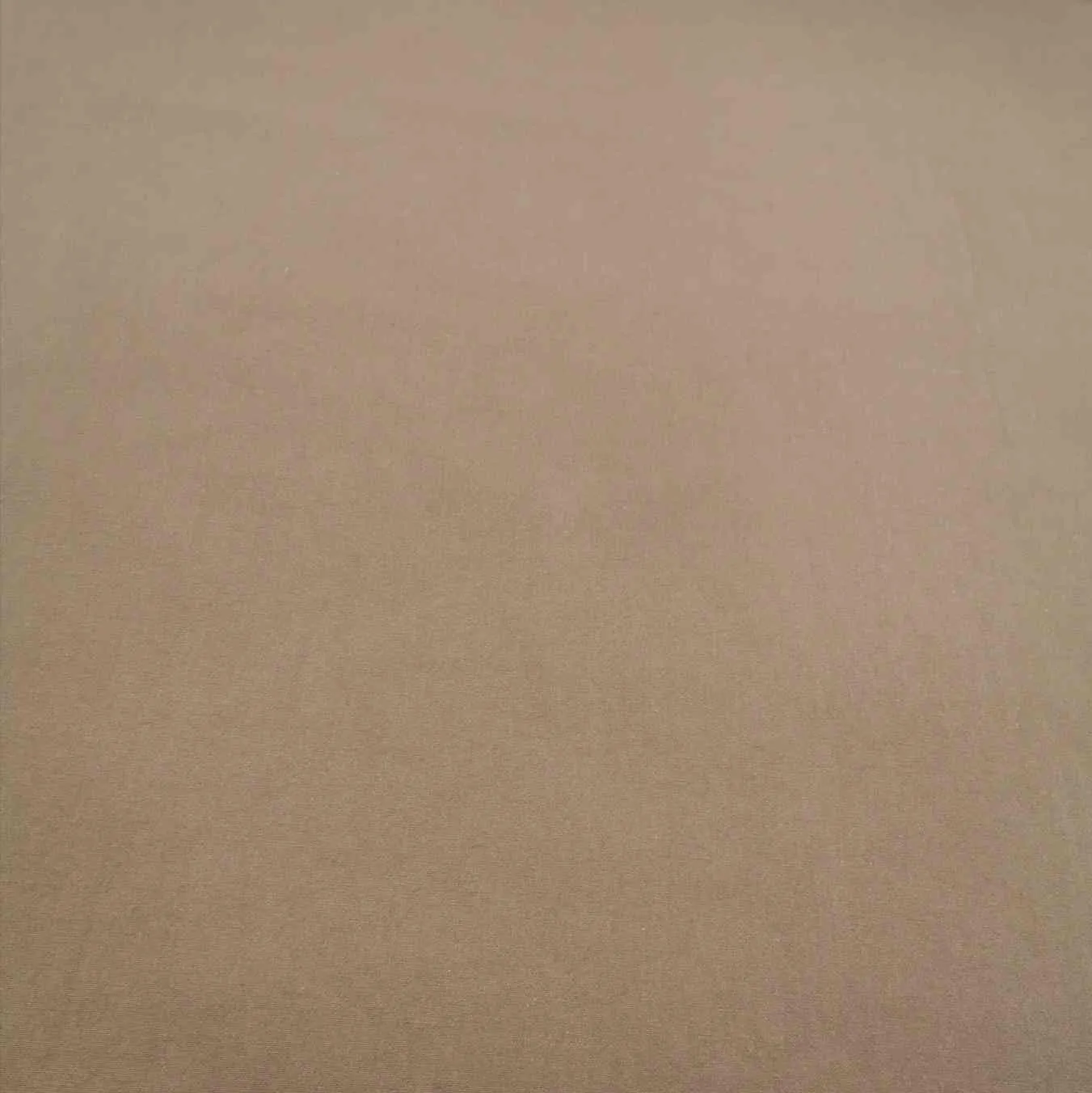Fortney Cotton, Warm Camel