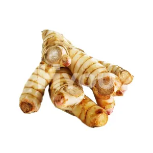 Fresh Galangal (Thai Ginger) 100g  ~ 新鮮高良薑（泰國生薑）100g