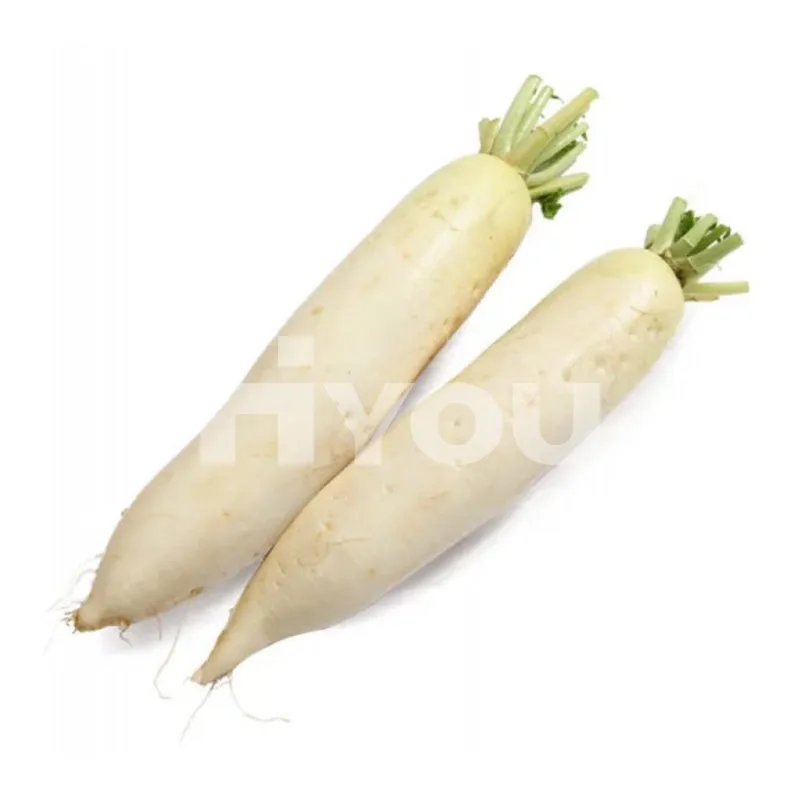 Fresh Mooli (Pc) ~ 新鮮白蘿蔔 (條)