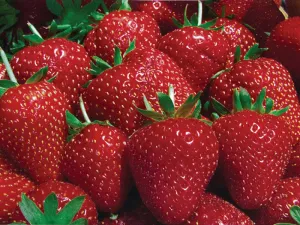 Fresh Strawberries