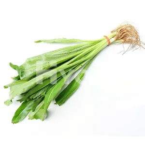 Fresh Thai Stinking 80g ~ 新鮮泰國臭草 80g