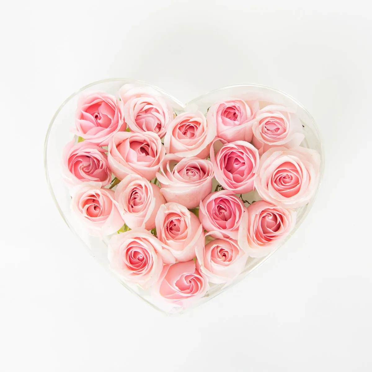 Heart