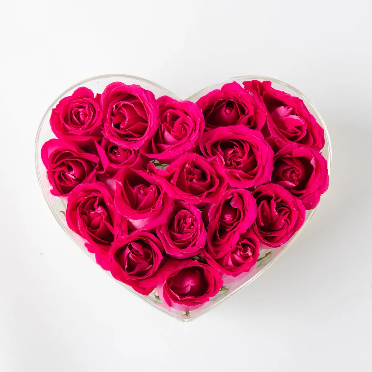 Heart