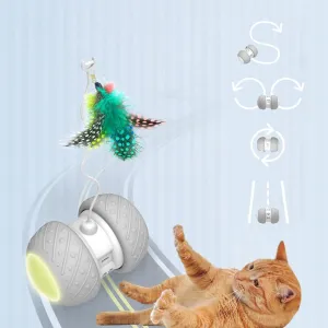 Interactive Robotic Cat Wheel Teaser Toy