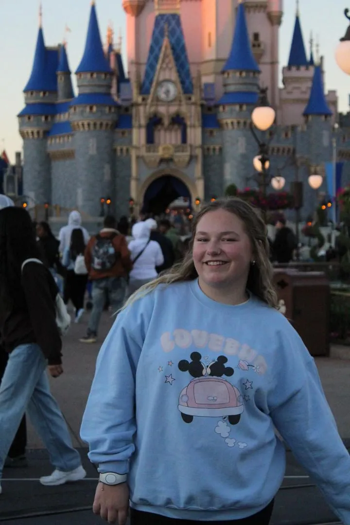 LoveBug Sweatshirt*