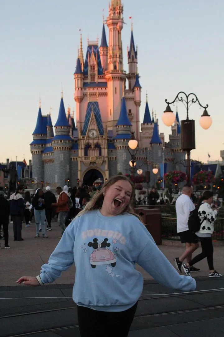 LoveBug Sweatshirt*