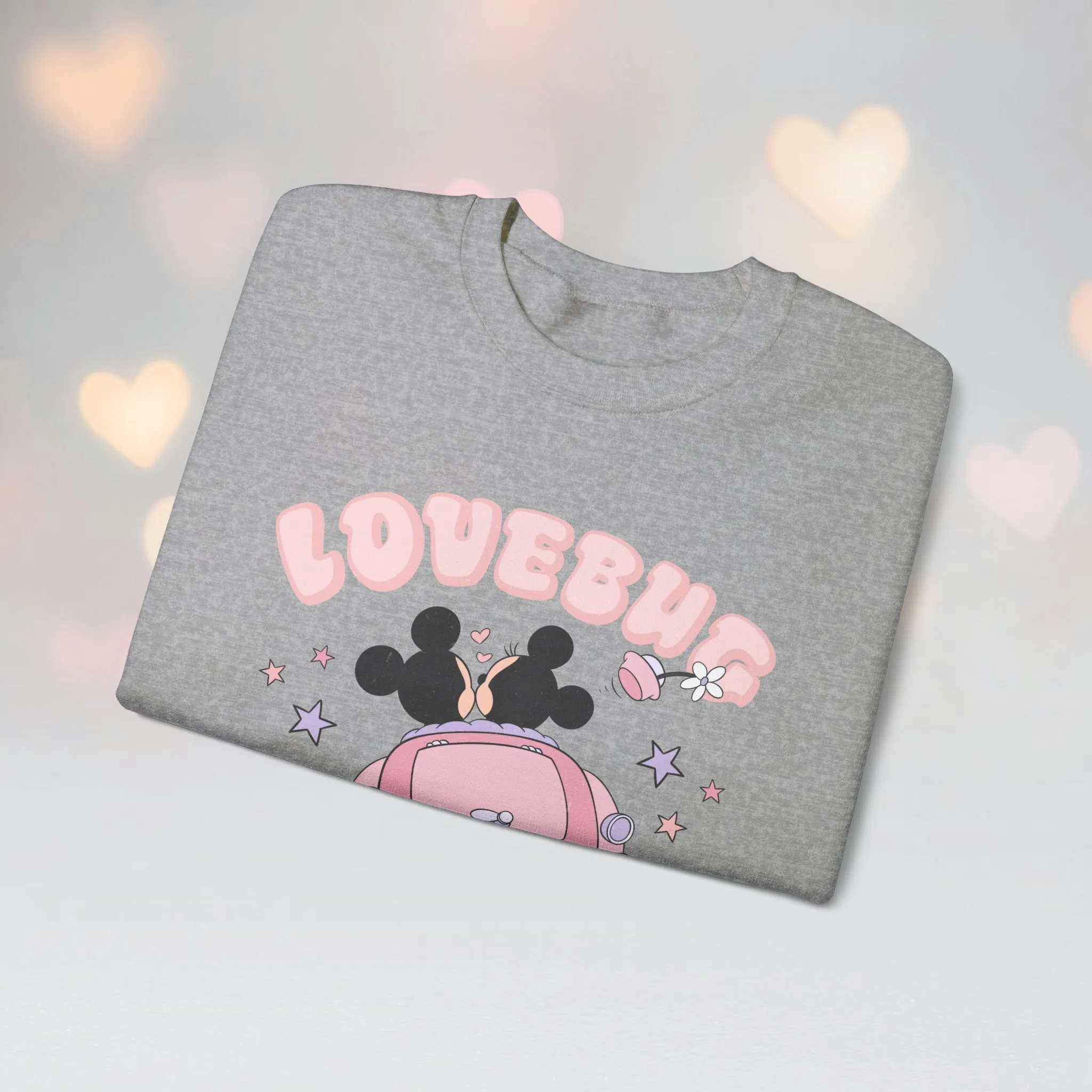 LoveBug Sweatshirt*