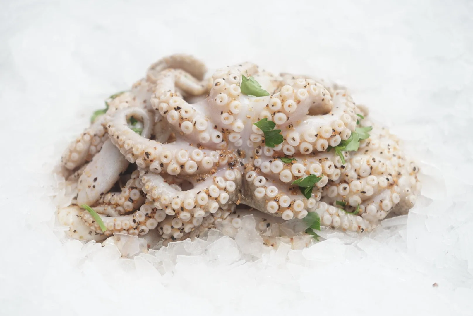 Marinated Australian Fresh Octopus