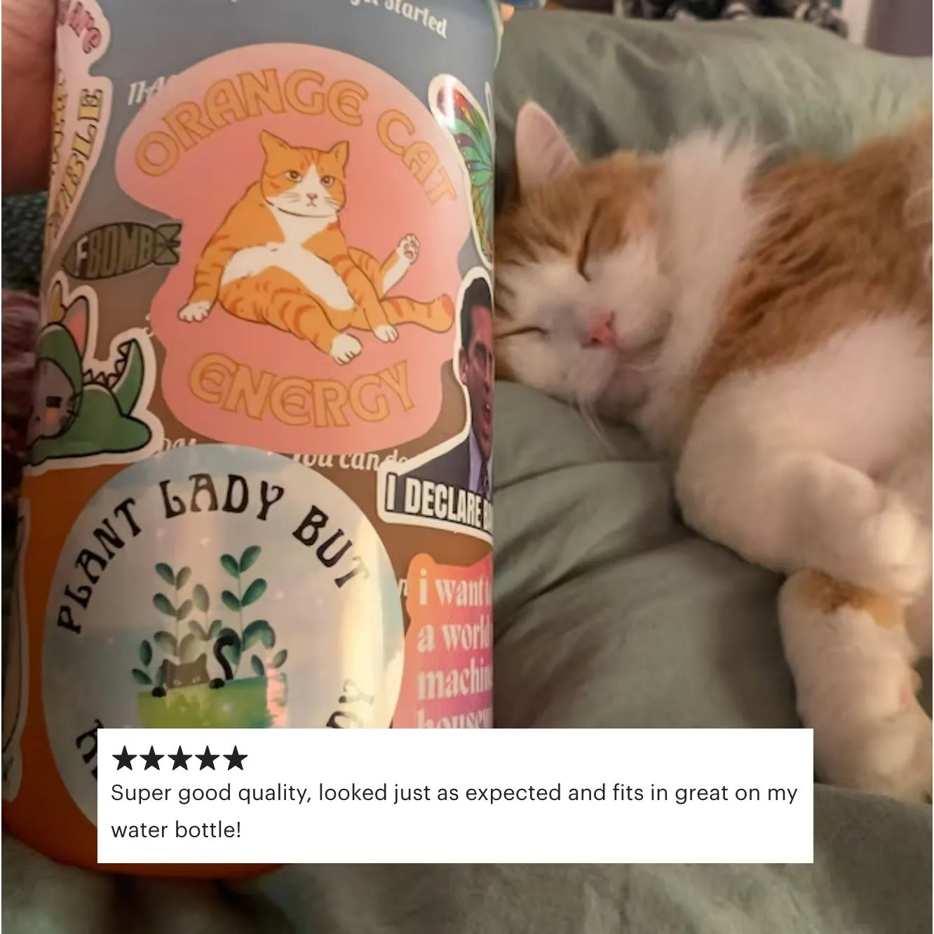 Orange Cat Energy Glossy Die Cut Vinyl Sticker 3.35in x 3.34in