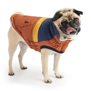 Retro Dog Puffer - Hazel