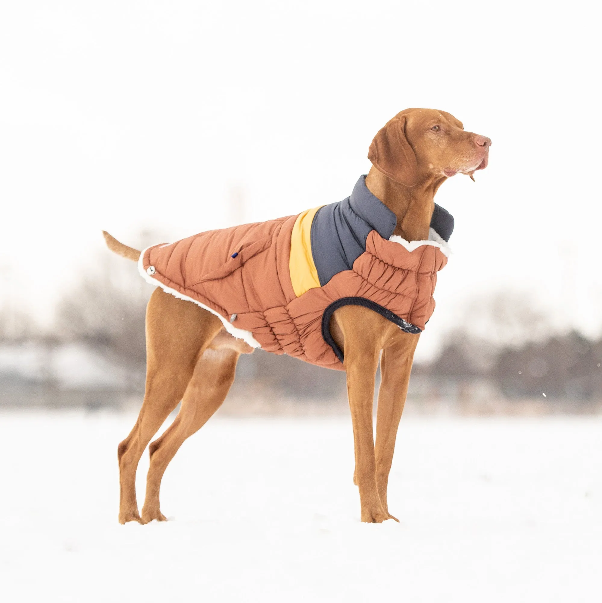 Retro Dog Puffer - Hazel