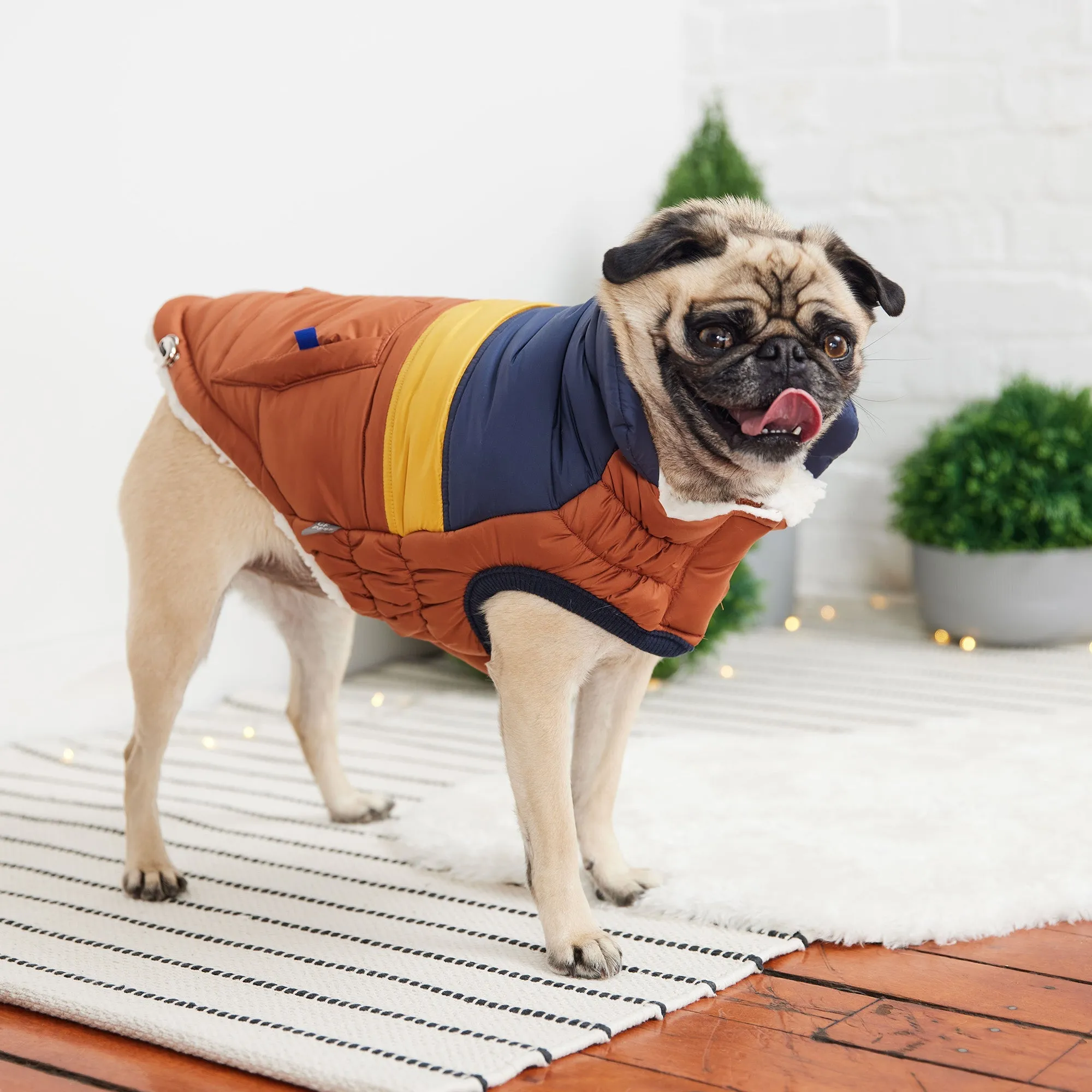 Retro Dog Puffer - Hazel