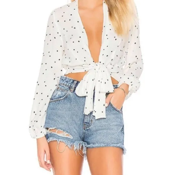 ROLLA'S 30 Dusters High Rise Slim Denim Shorts in Old Rip 0294