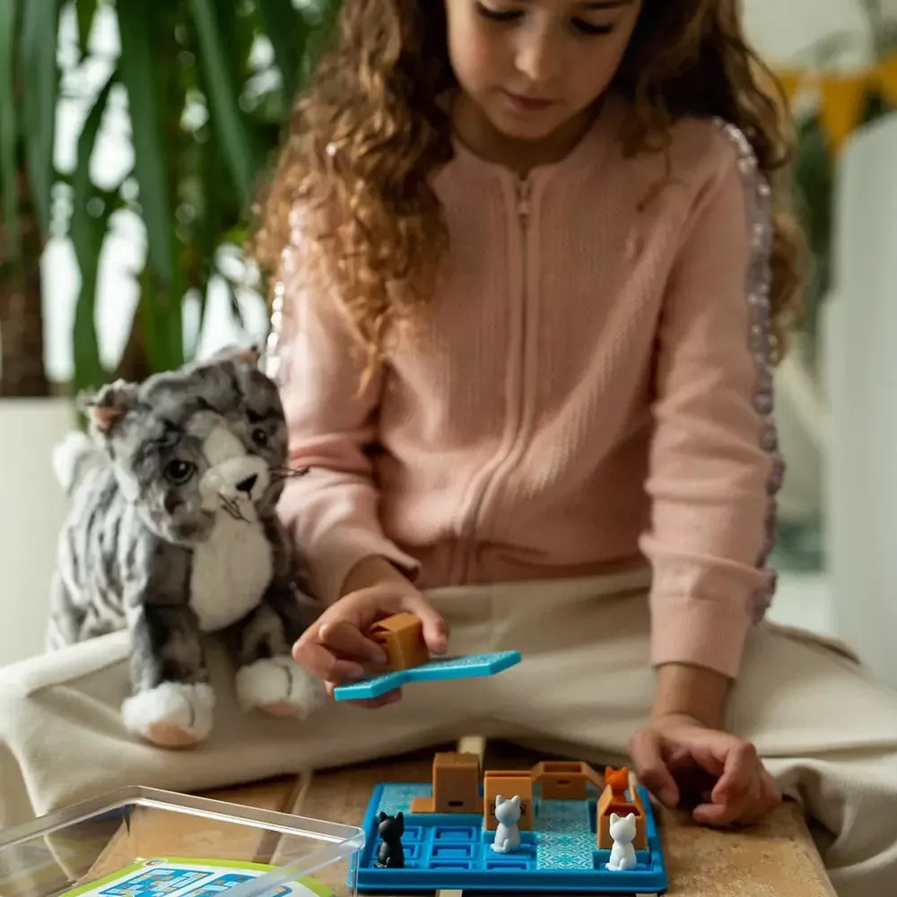 Smart Games Cats & Boxes