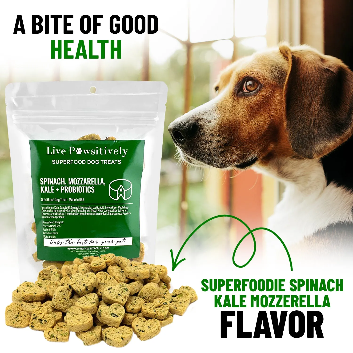 Spinach, Mozzarella, Kale, & Probiotics Superfood