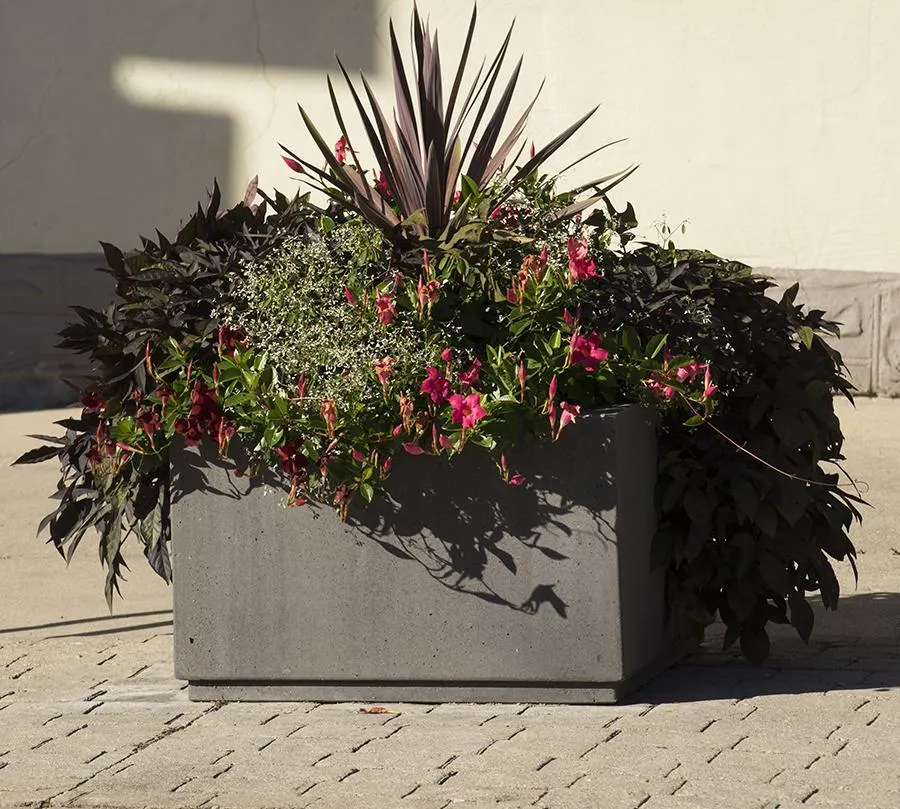 SQ Series Commercial Planters