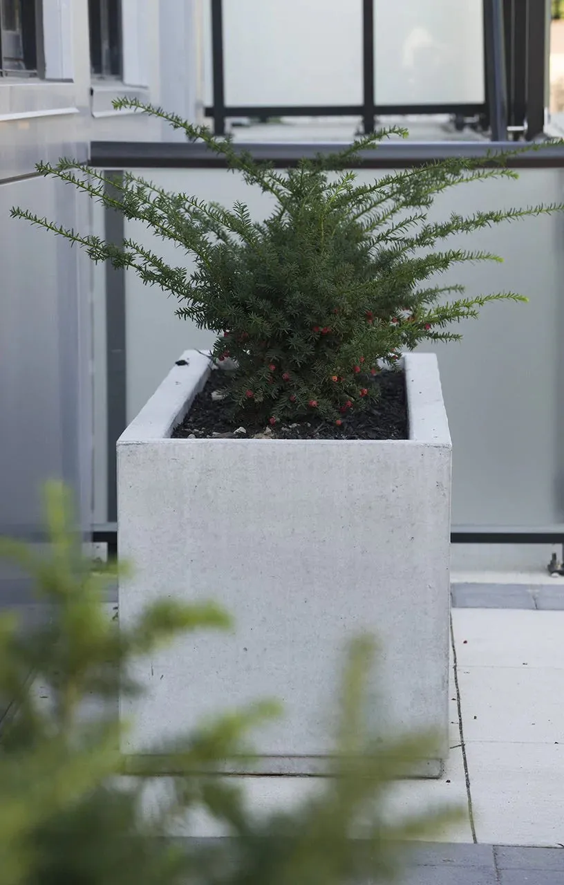 SQ Series Commercial Planters