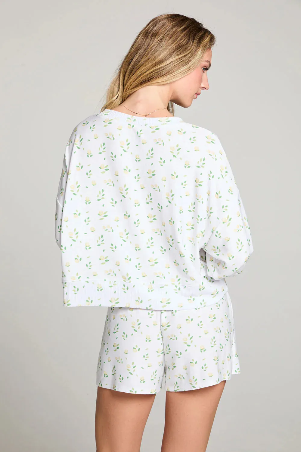 Zesty Set